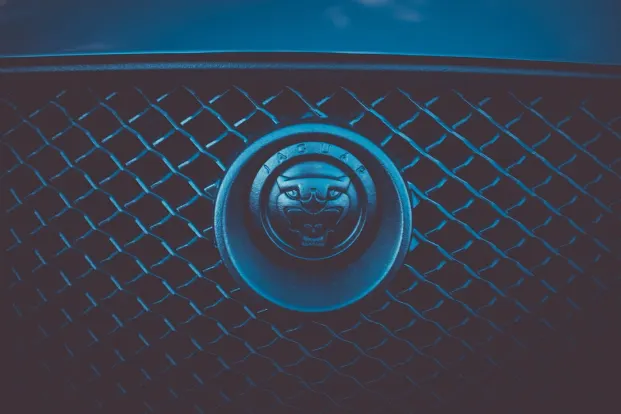 Cleopatra Kazino Android/iOS programa